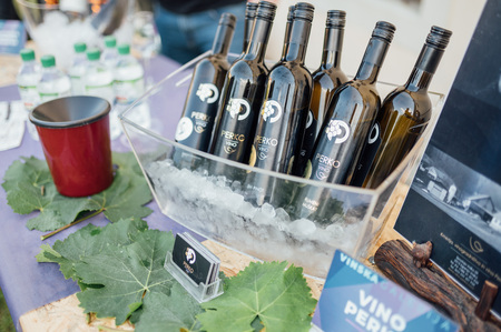 2022_06_Obcina_Sveta_Trojica_Trojicafest_drugi_dan_foto_Bostjan_Podlogar_050 (1)